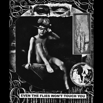 Even The Flies Won't Touch You cover art