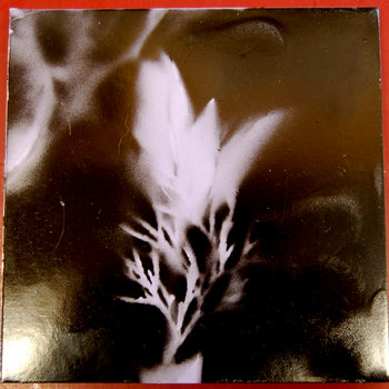 Physical Demon - Pulse Maggot cover art