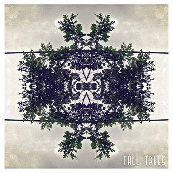 Tall TreEP cover art
