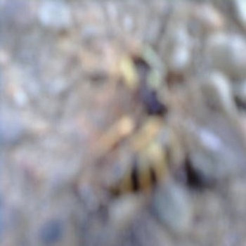 The 3P cover art