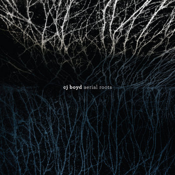 Aerial Roots cover art