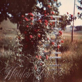 Hidden Veil cover art