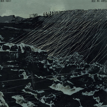 These Are Shapes cover art