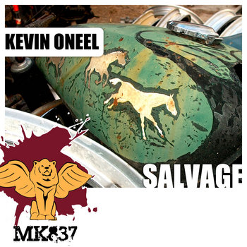 Salvage cover art