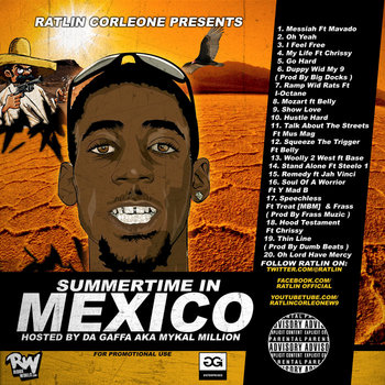 Summertime In Mexico cover art