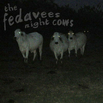 night cows cover art