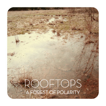 A Forest Of Polarity cover art