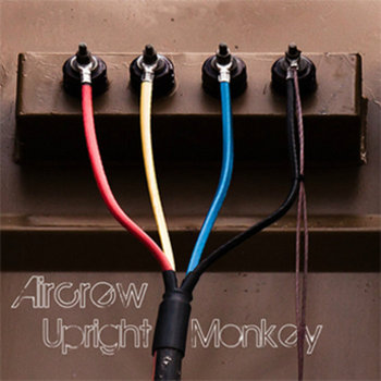 Upright Monkey cover art