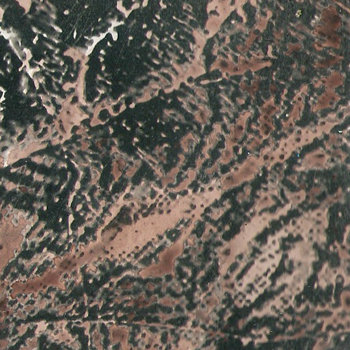 Twin Polygamists / Pacific Mausoleum cover art