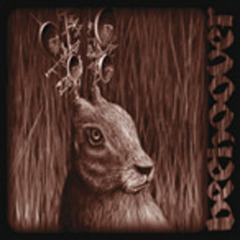 heavy zooo cover art