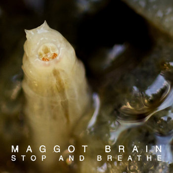 Stop and Breathe cover art