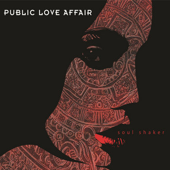 Soul Shaker cover art