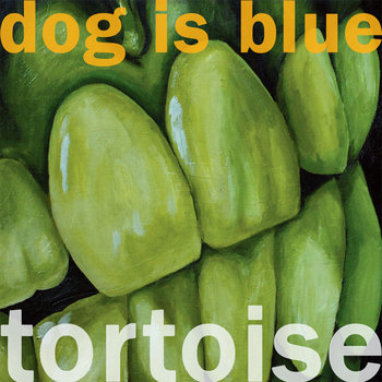Tortoise cover art