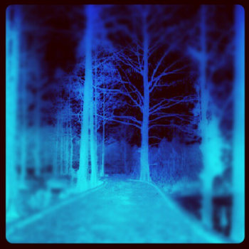 Winterwoods cover art