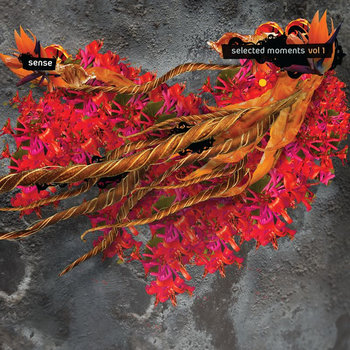 Selected Moments Volume 1 cover art