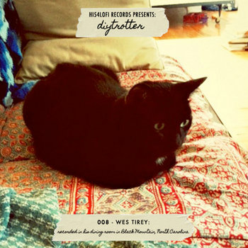 DIYtrotter: 008 - Wes Tirey cover art