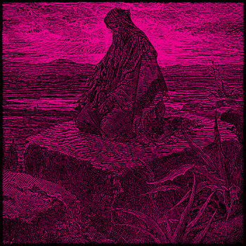 Nocturnal Veils cover art