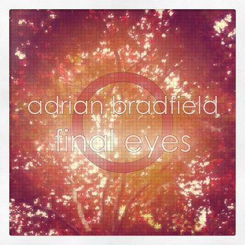 Final Eyes cover art