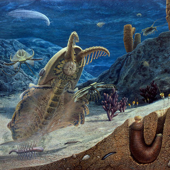 Cambrian Members cover art
