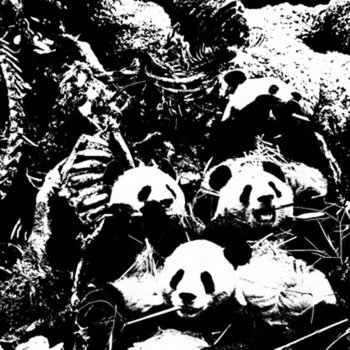 le déclin cover art