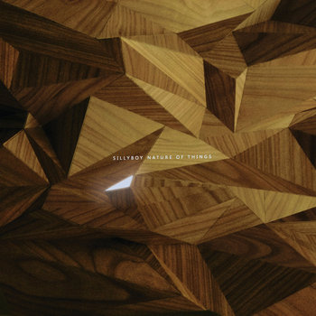 NATURE OF THINGS cover art