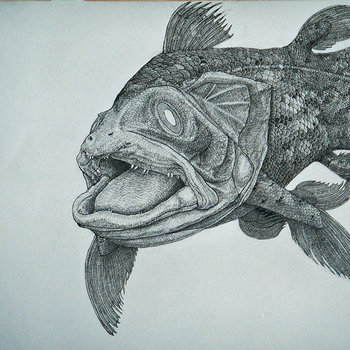 Recent Recordings- Early 2011 cover art
