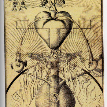 ingirumimusnocteetconsumimurigni cover art
