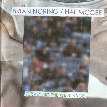 Surveying The Wreckage cover art
