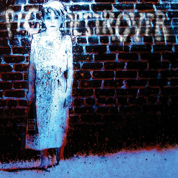 Book Burner (Deluxe Version) cover art