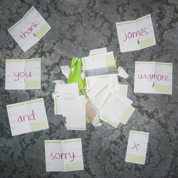 thank you and sorry cover art