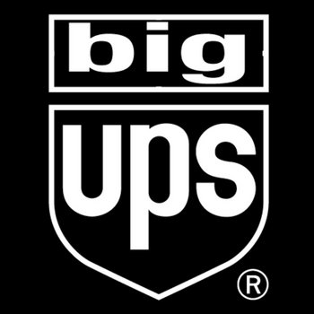 BIG DEMOS cover art