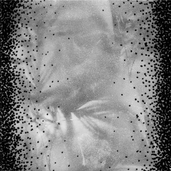 from among the pale adjustments cover art