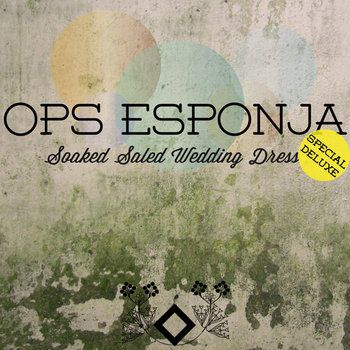(GFR043) Soaked Saled Wedding Dress (Special Deluxe) cover art