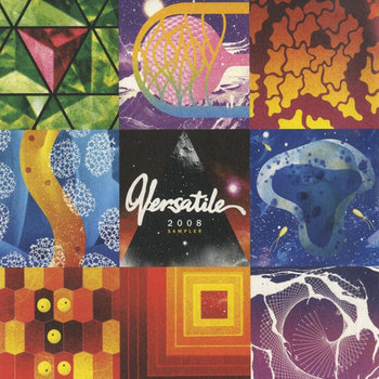Versatile Sampler 2008 cover art
