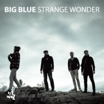 Strange Wonder cover art