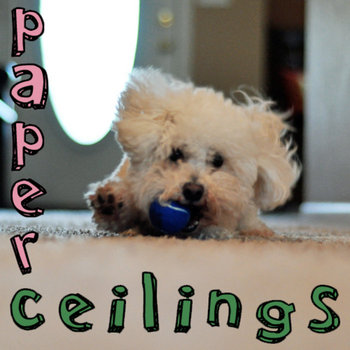 Paper Ceilings cover art