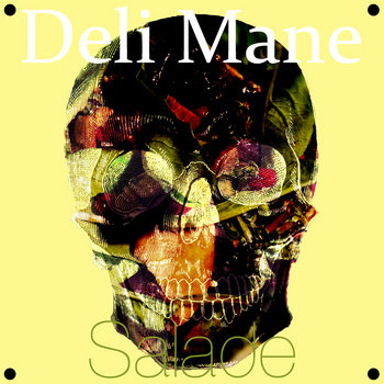 SALADE cover art