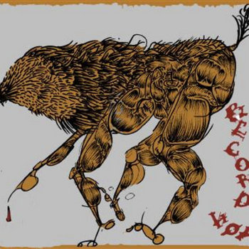 Record Hop cover art
