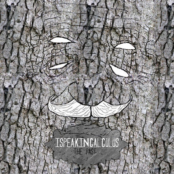The Past cover art