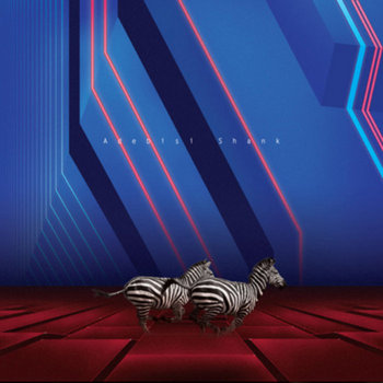 This is the Second Album of a band called Adebisi Shank cover art