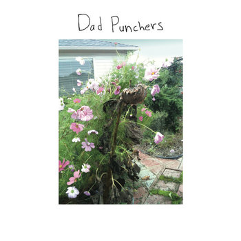 Dad Punchers cover art