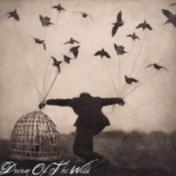 Dream Of The Wild cover art