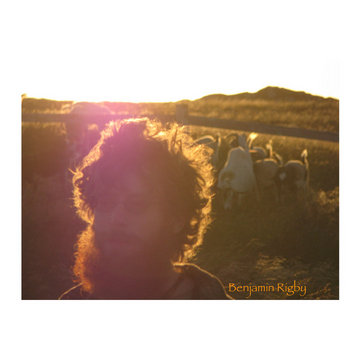 Flown Away cover art