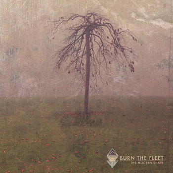 The Modern Shape cover art
