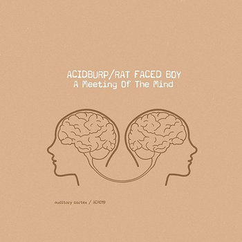Acidburp & Rat Faced Boy - A Meeting of the Mind cover art