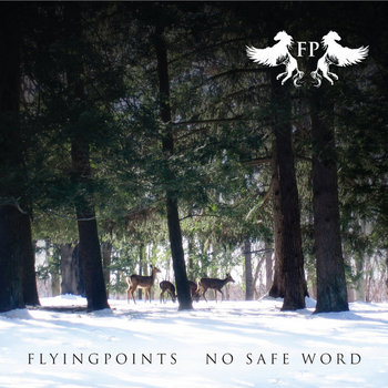 No Safe Word cover art