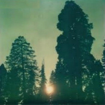 Wood Smoke cover art