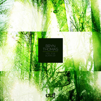 Feel For Bumps EP cover art