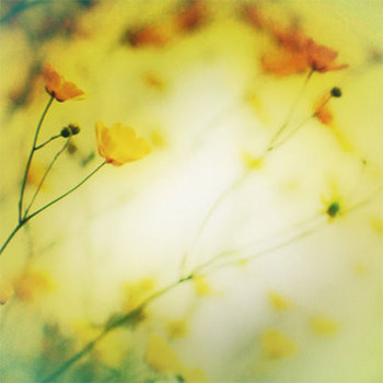 hibernate sampler volume 6 cover art