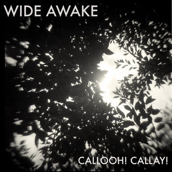 Wide Awake cover art